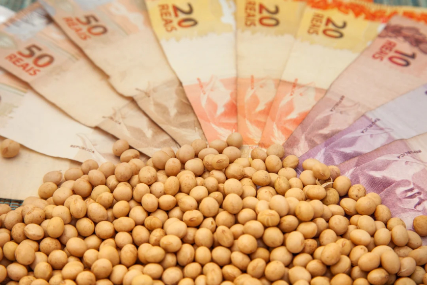 Preços: Semana da soja começa fraca e com preços estáveis; saiba as cotações por região