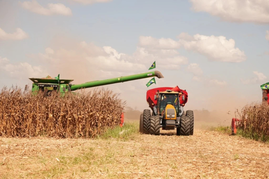 Colheita: Clima, logística e safra recorde moldam o rumo da soja no Brasil: o que esperar?