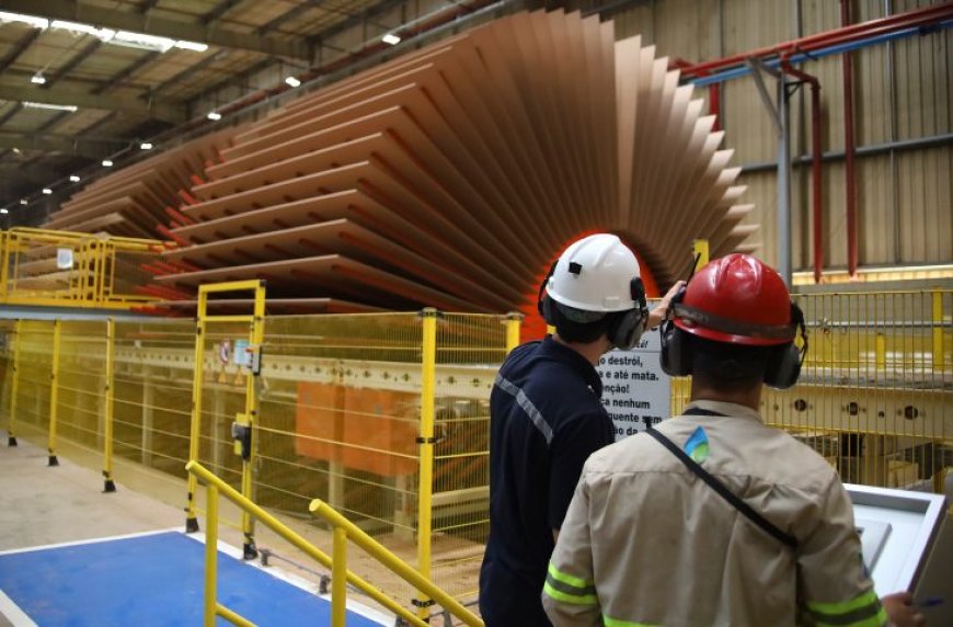 Destaque nacional na geração de empregos, MS abre oportunidades para quem busca um lugar ao sol