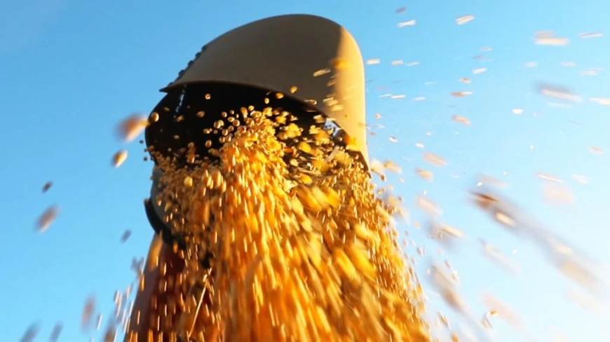 Promissor: Safra 2025/26 de soja é elevada em 1,5 milhão de toneladas por consultoria