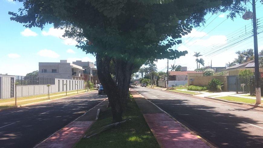 Mato Grosso do Sul: Tempo de poucas nuvens, sol e chuva isolada no leste são previstos neste sábado