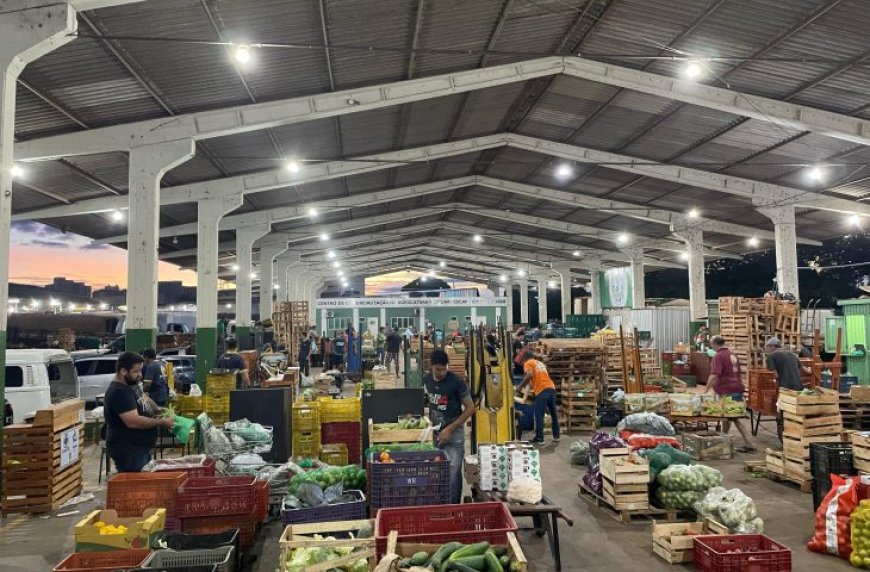 Do campo ao mercado: como o agricultor pode vender na Ceasa de Mato Grosso do Sul