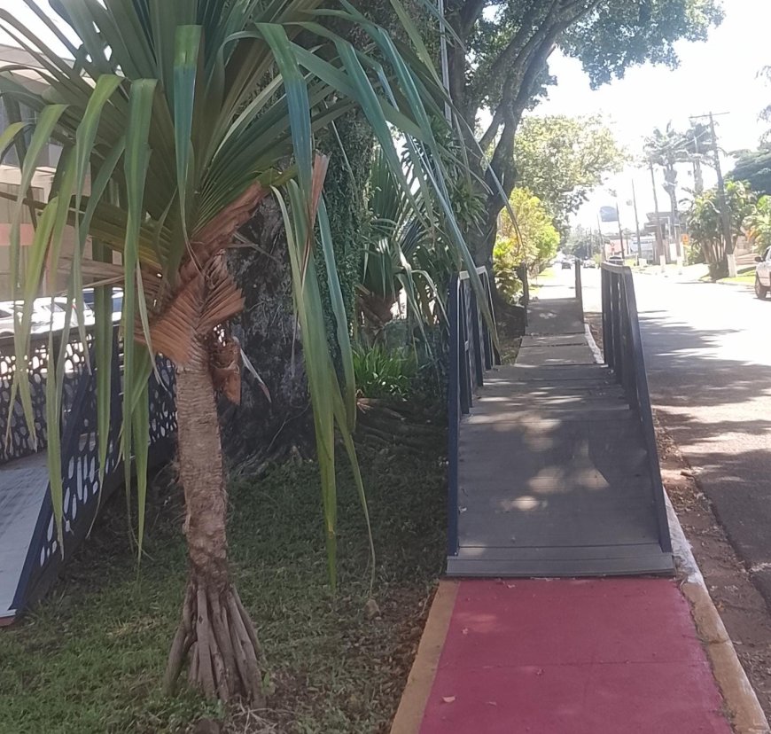 Altas temperaturas: Calor intenso marca o domingo em MS, com até 41°C no Pantanal