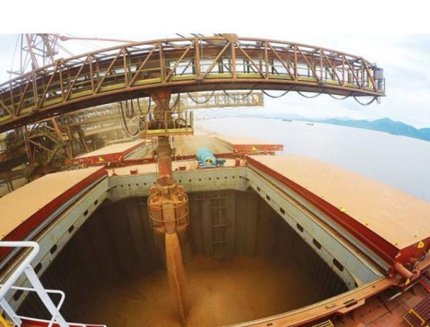 Destino da soja: line-up indica embarques de 3,231 milhões de toneladas pelo Brasil em janeiro