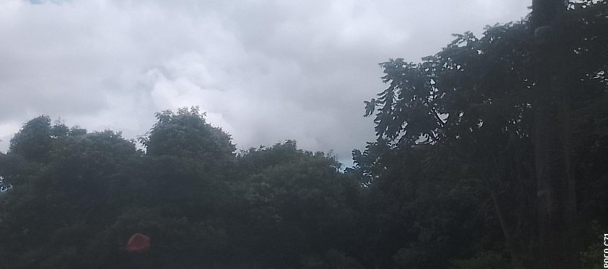 Confira previsão e temperaturas: Tempo com Sol, chuvas e tempestadas acompanhadas de raios são esperados neste sábado em MS