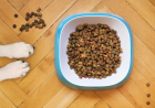 Ampliação: Brasil habilita 40 plantas de pet food para exportação à Costa Rica
