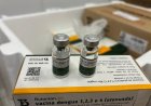 SES define distribuição das 7,8 mil doses contra dengue para os 79 municípios de MS