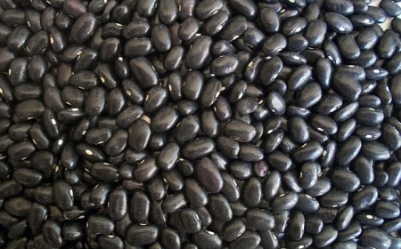 Valorizado: Preço do feijão dispara com oferta restrita