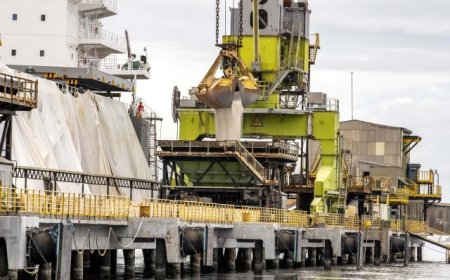 Números: Fertilizantes: Entregas ao mercado brasileiro crescem 2,6% em novembro