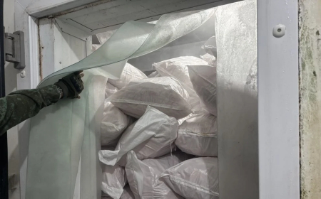 Em alerta: Casos da 'doença da urina preta' levam à apreensão de 100 toneladas de pescado em frigorífico