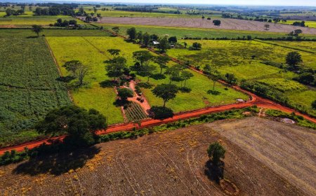 Japorã intensifica manutenção de estradas para garantir escoamento e tráfego seguro