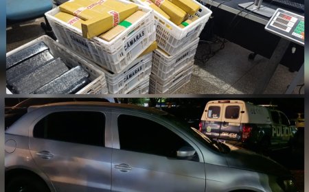 Ponta Porã: 4º BPM apreende mais de 220 quilos de maconha e recupera veículo roubado