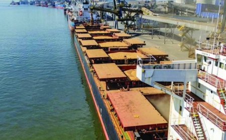 Exterior : Exportações aos EUA caem 25,5% e vendas à China sobem em janeiro