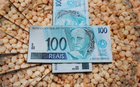 Linha: Crédito rural cresce 6% com destaque para as Cédulas de Produto Rural