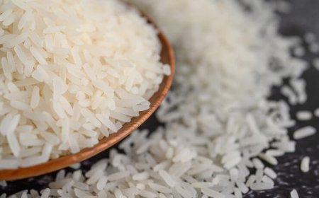 Debate: CNA e entidades discutem desafios para a produção de arroz