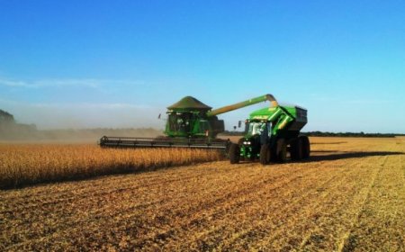 Busca: Crédito rural empresarial cresce 6% no primeiro semestre do Plano Safra