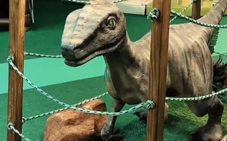 Lazer: Parque com dinossauros gigantes começa a funcionar em Shopping da Capital