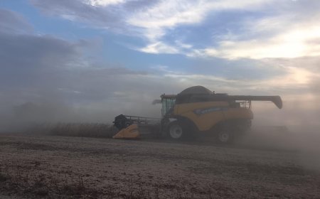 Saca 60 kg: Saiba como ficaram as cotações de soja após período de Carnaval