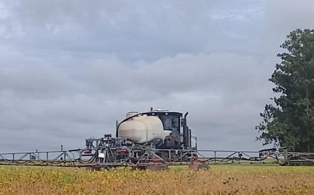 Cultura: Área tratada com defensivos na safra 25/26 deve crescer 6%, indica Sindiveg