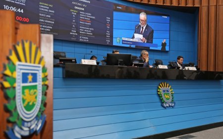 Deputados votaram redação final de projeto que cria Cadastro de Condenados por violência doméstica