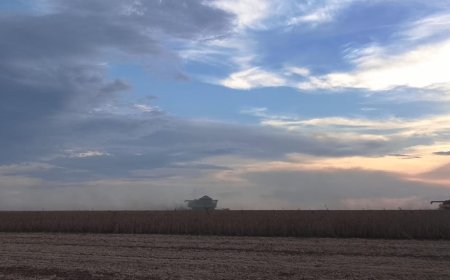 Safra: Região Sul lidera colheita da soja em Mato Grosso do Sul