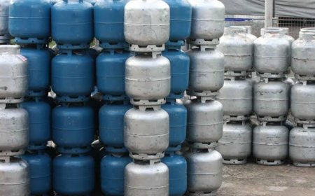 Mato Grosso do Sul: Mais de 26 mil famílias de Campo Grande passam a receber vale-gás gratuito