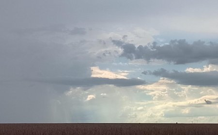 Tempo e temperatura: Instabilidade avança sobre MS e espalha chuva por todas as regiões nesta quarta (25)