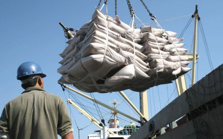 Impacto: Lei antidesmatamento da UE pode trazer impacto de US$ 17,5 bilhões ao agro brasileiro