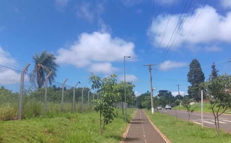 Tempo e temperatura: Quinta-feira deve ser de tempo mais firme em Mato Grosso do Sul