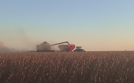 Saca 60 kg: Movimentações são registradas nos portos, mas soja oscila no Brasil; saiba os preços