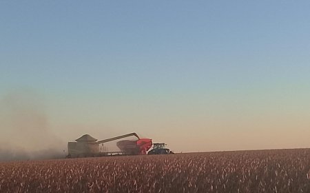 Saca: Como ficaram os preços de soja no último dia de fevereiro? Saiba as cotações no fechamento