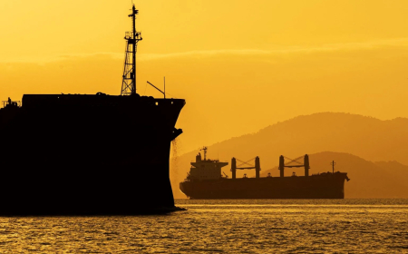 Mercado: Brasil passa a exportar novos produtos agropecuários para México e Filipinas