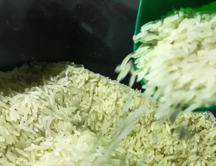 Aponta Cepea: Preço do arroz segue estável no RS apesar do ritmo lento de negócios