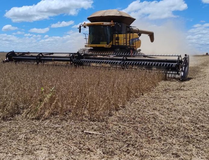 Ponta Porã lidera produção de soja em MS e está entre os 20 maiores produtores do Brasil