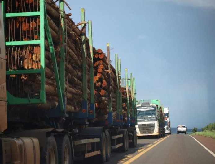 Rota da Celulose: concessão garante segurança viária e inovações a Mato Grosso do Sul