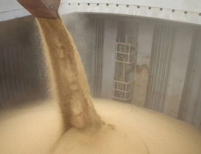 Dados: Exportações de soja saltam 80% e milho avança 18% em janeiro