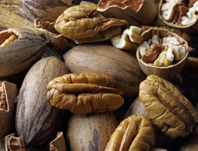 Dados: Safra brasileira de noz-pecã pode chegar a 7 mil toneladas em 2026