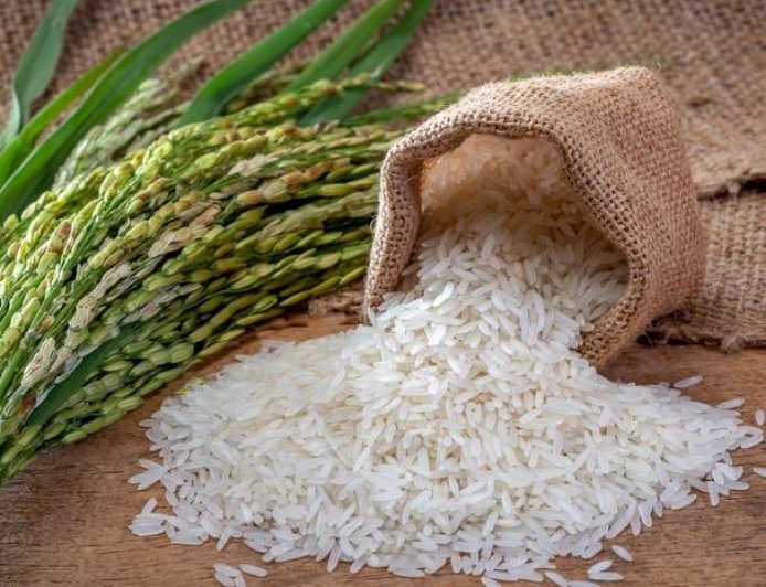 Valor: Arroz segue entre R$ 50 e R$ 55 com oferta retida e liquidez limitada