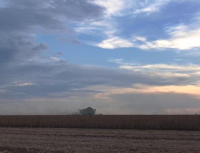 Safra: Região Sul lidera colheita da soja em Mato Grosso do Sul