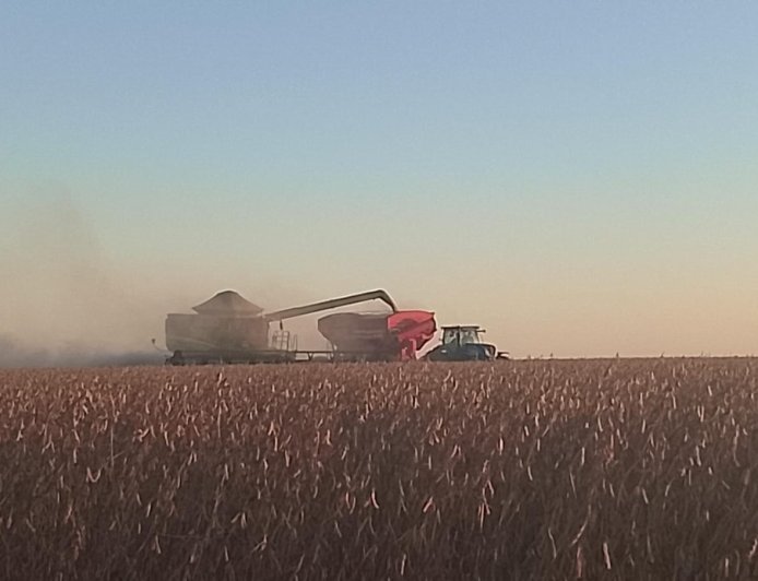 Saca 60 kg: Movimentações são registradas nos portos, mas soja oscila no Brasil; saiba os preços