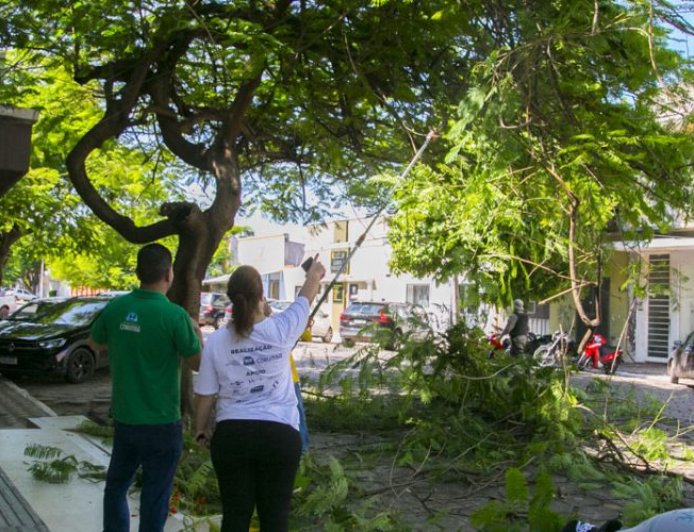 Pantanal: Corumbá inicia plano inédito de arborização urbana e reforça política ambiental estratégica