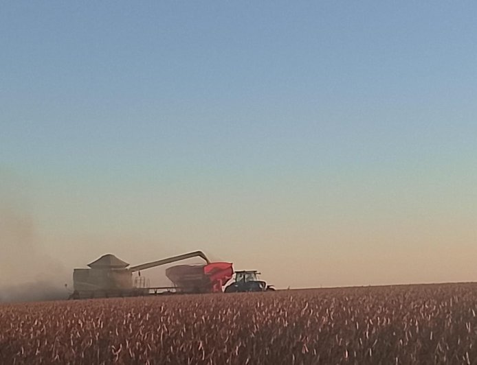 Saca: Como ficaram os preços de soja no último dia de fevereiro? Saiba as cotações no fechamento