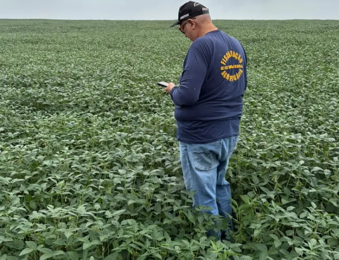 Atenção: Prazo para atualização cadastral da safra de soja 25/26 se aproxima do encerramento