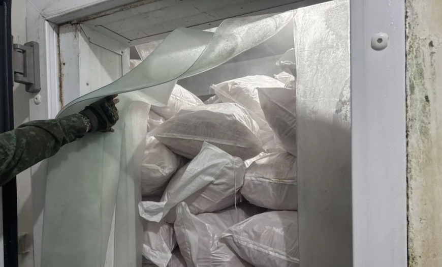 Em alerta: Casos da 'doença da urina preta' levam à apreensão de 100 toneladas de pescado em frigorífico