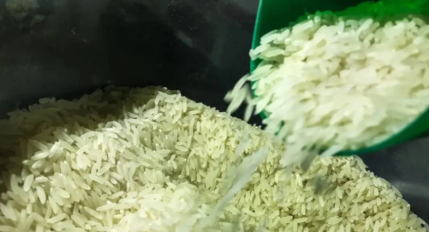Aponta Cepea: Preço do arroz segue estável no RS apesar do ritmo lento de negócios