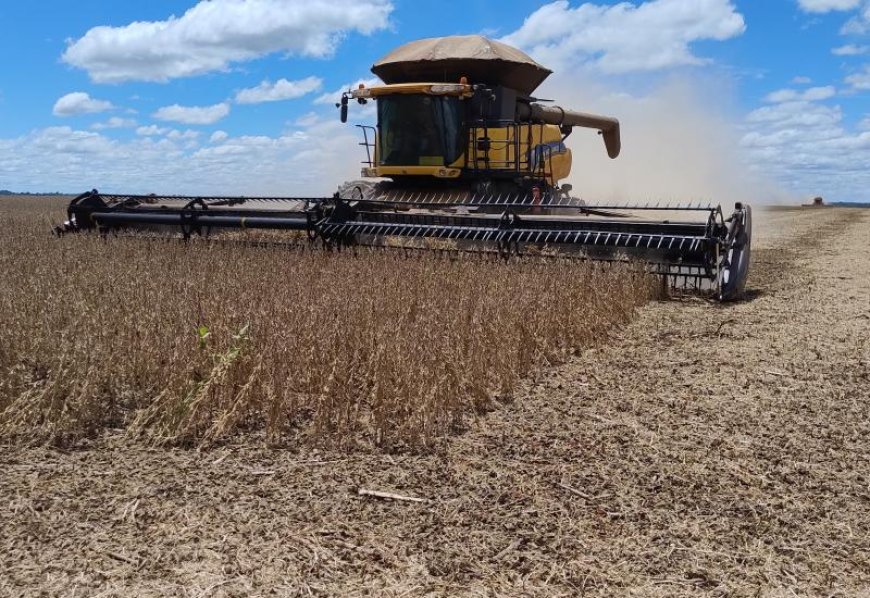 Ponta Porã lidera produção de soja em MS e está entre os 20 maiores produtores do Brasil