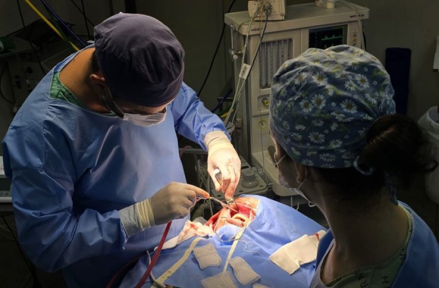 Com investimento do Governo de MS, Hospital Regional retoma cirurgias bucomaxilofaciais