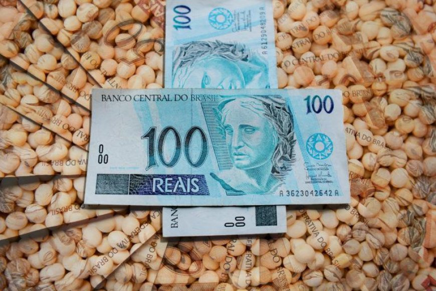 Linha: Crédito rural cresce 6% com destaque para as Cédulas de Produto Rural