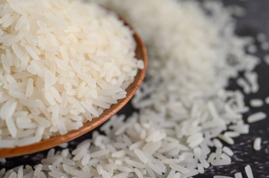 Debate: CNA e entidades discutem desafios para a produção de arroz