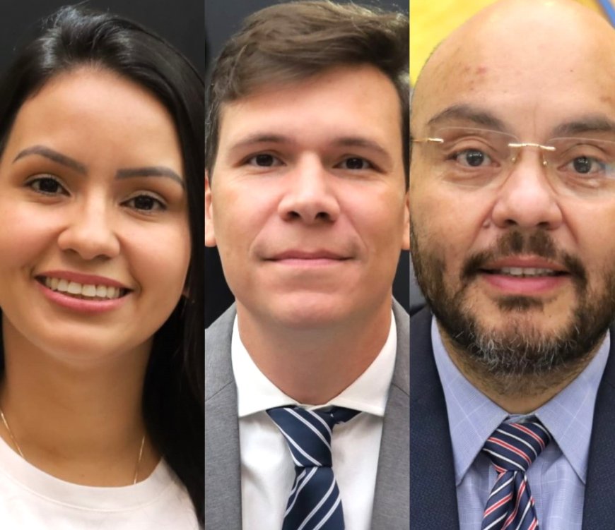 Vereadores de Ponta Porã agendam para   dia 23 audiência para prestação de contas